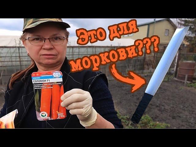 Посев моркови.  БЕЗ ГОРЕЧИ и МОРКОВНОЙ МУХИ.