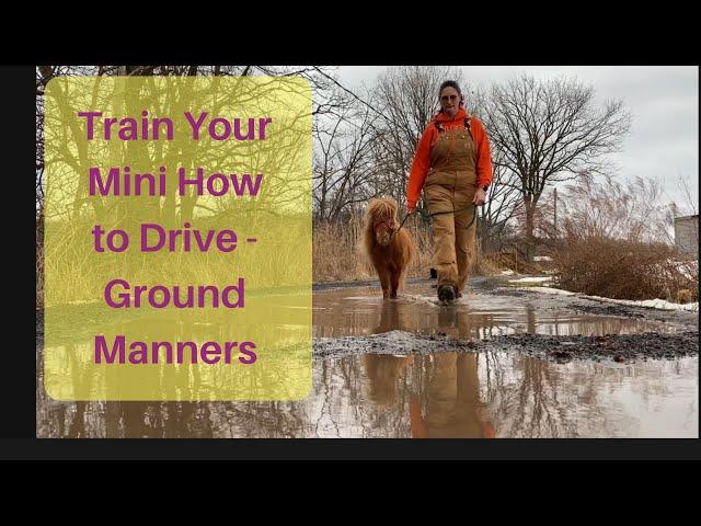 Train Your Mini to Drive - Step 2