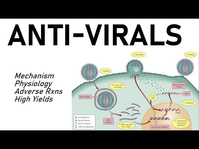 Antiviral Pharmacology