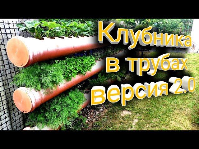 Клубника в трубах, подвесных грядках. Версия 2.0 Belklubnika.by