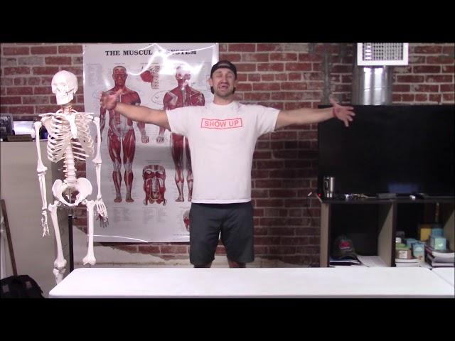 17-Actions of the shoulder joint - Show Up Fitness