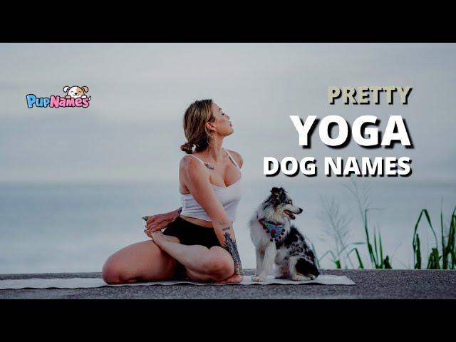 30+ Beautiful YOGA DOG NAMES (with Meanings!) | PupNames.com