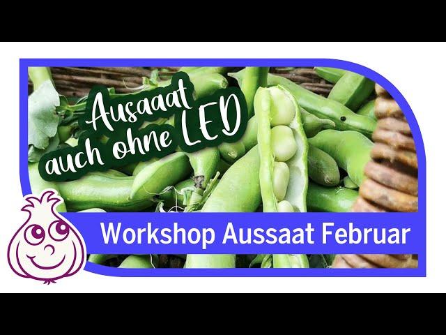 Der Trick mit den Bohnen | Aussaaten Gemüseanbau Workshop Februar Teil5