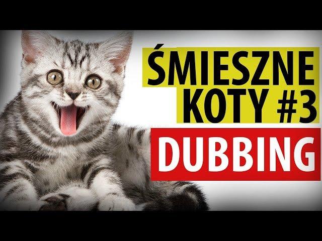 FUNNY CATS # 3  DUBBING: MATT OLECH