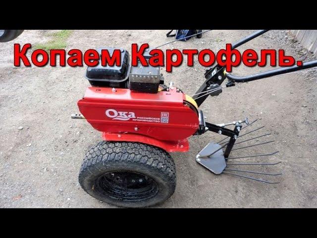 Копаем Картофель - мотоблок Ока - копалка Зубр.