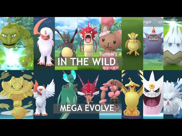 Catching shiny in the wild and mega evolved them feat. Mega Steelix, Absol and more