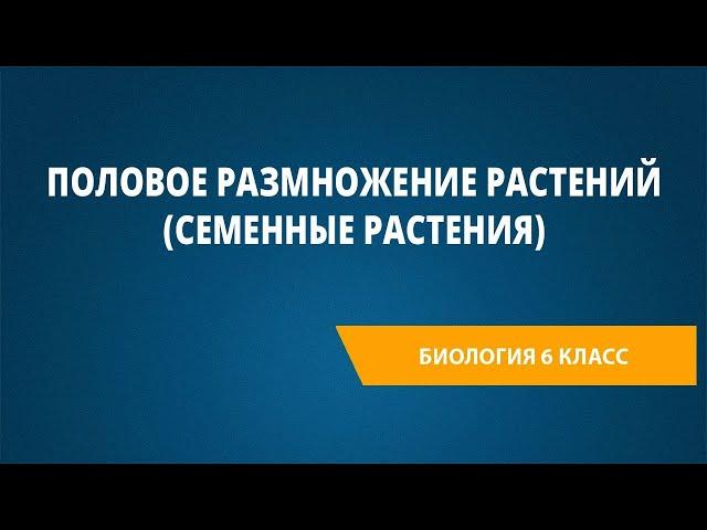 Половое размножение растений (семенные растения)