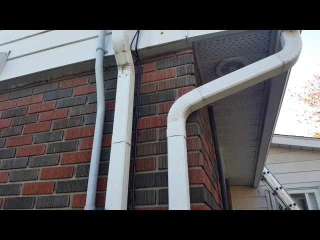 Mice climbing wires to gain access into the attic.