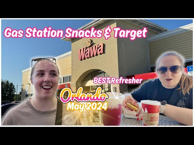 Wawa Gas Station Snacks & Drink PLUS browsing Target and TJ Maxx