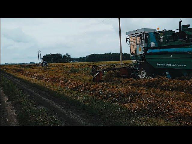 Жатки Жвн и Жвп, какая лучше, горох в волки