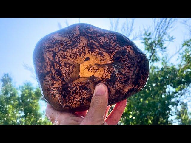 BIG AGATE FEVER! Rockhounding the Yellowstone by Boat