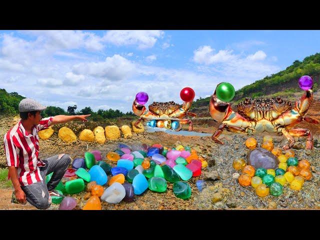 Perfect purple crab pearls! Giant sea crab with gold pearl inside#goldtreasurevillage