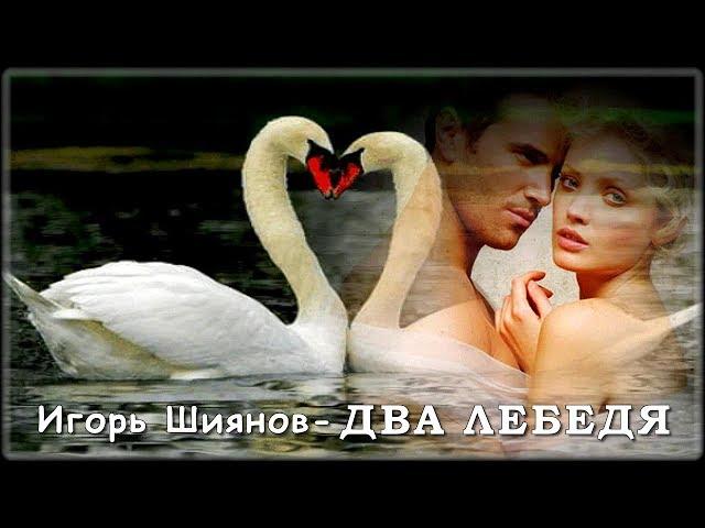 Игорь Шиянов - Два лебедя | Шансон Юга