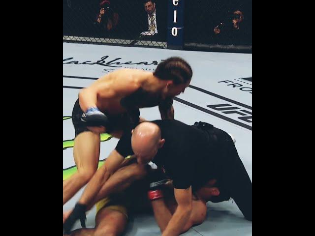 Выбил дурь! #knockout #UFC #нокаут #Shorts #ligatopufc