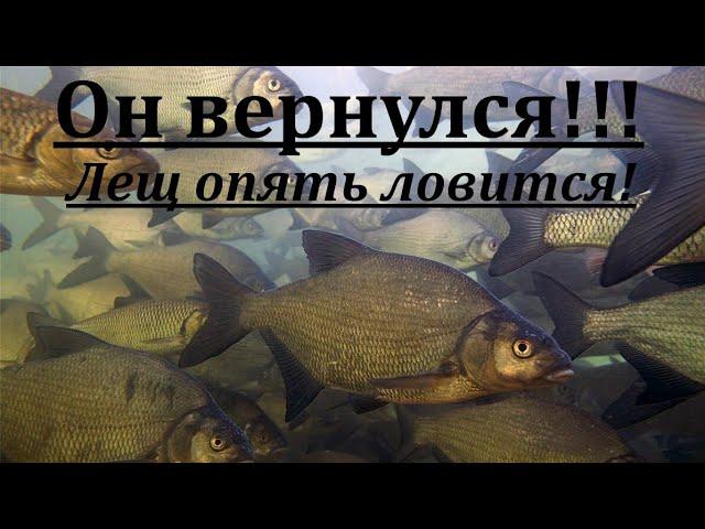 Он вернулся! ЛЕЩ опять ловится!!!