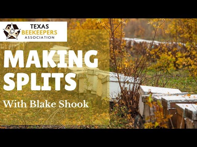 Making Splits - Honey Bee Management with Blake Shook