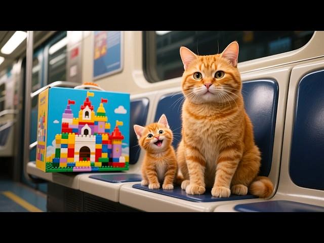 Mama Cat Sells Japanese Mochi So Kitten Could Buy a Lego Castle 