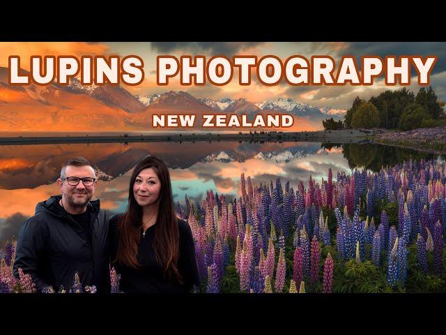 LUPINS PHOTOGRAPHY - New Zealand