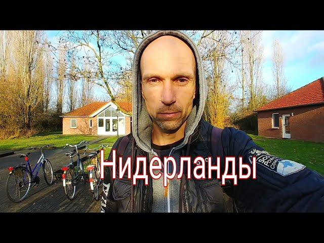 Временная защита для украинцев в Нидерландах  Поселение в Голландии. Беженство