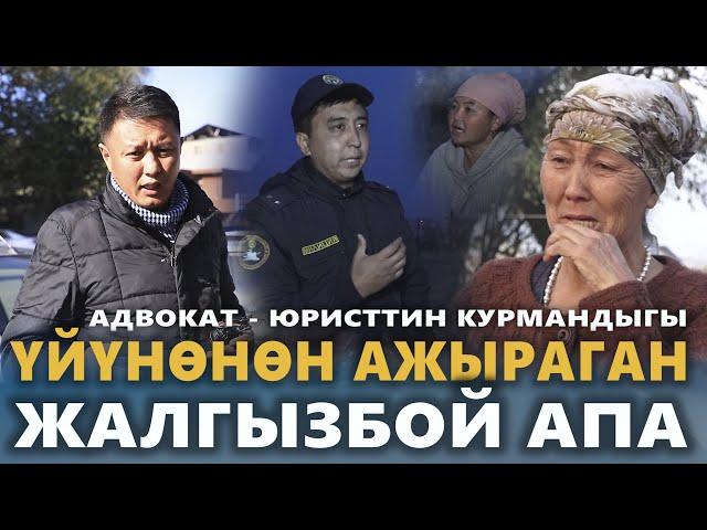 Үйүнөн ажыраган АЛСЫЗ АПА | Адвокат - юристтин курмандыгы | Кара-Суу | Улукбек Карыбек уулу