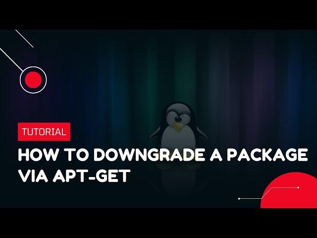 How to downgrade a Package via apt-get | VPS Tutorial