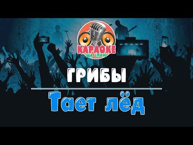 Грибы - Тает лёд (Караоке версия)