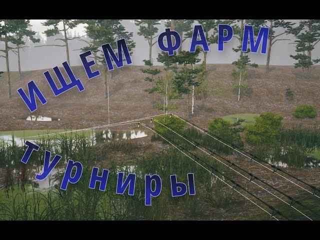 ИЩЕМ ФАРМ + ТУРНИРЫ / РР4