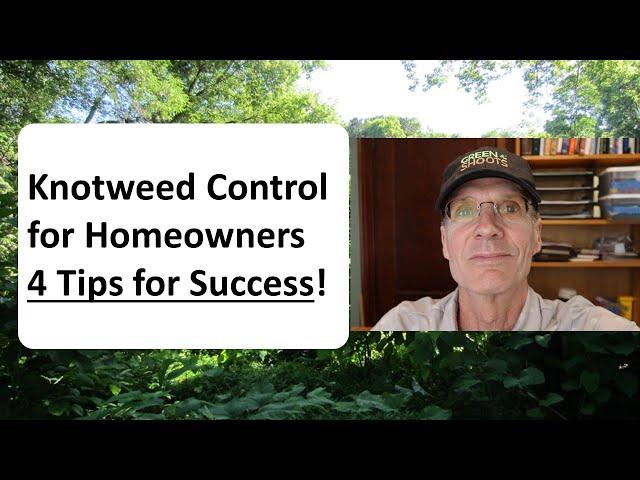 Knotweed Control for Homeowners: 4 Tips for Success!