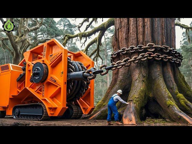 Extreme Dangerous Fastest Big Chainsaw Cutting Tree Machines | Monster Stump Removal Excavator #98