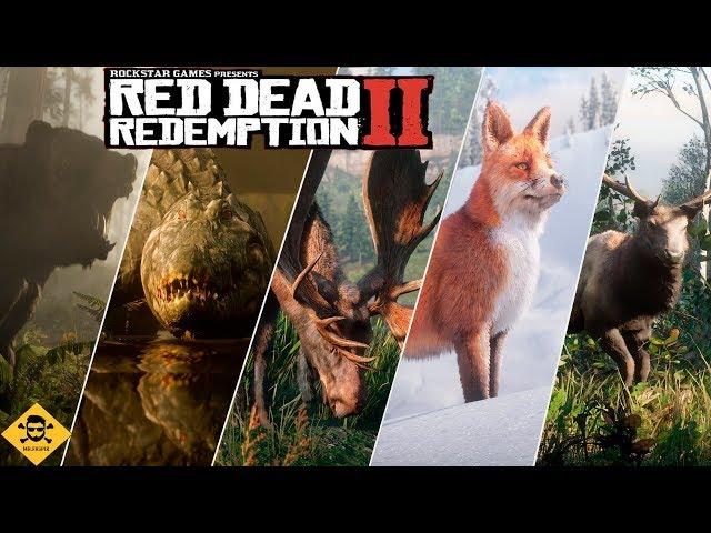 ВСЕ ЛЕГЕНДАРНЫЕ ЖИВОТНЫЕ   RED DEAD REDEMPTION 2