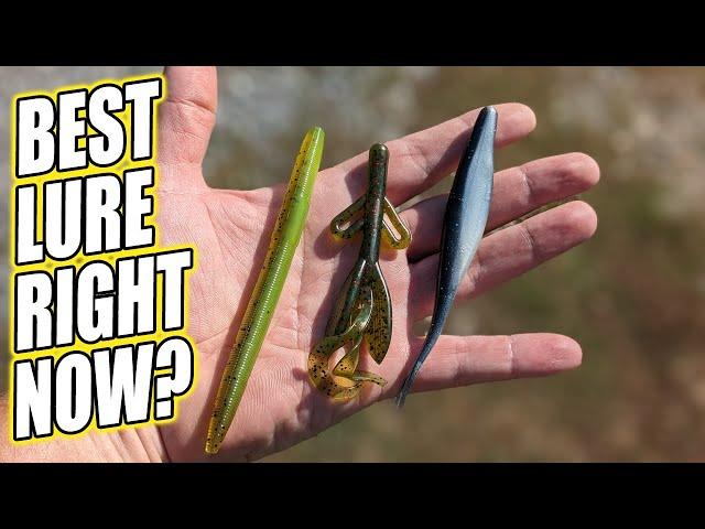 Best Lure for Bass Fishing Right Now? Which Walmart Lure Catches Bass