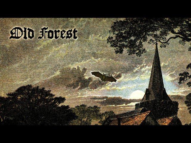 Old Forest - Graveside (Full Album Premiere)