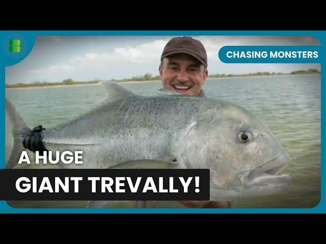 Expedition: Island Secret - Chasing Monsters - Fishing Show