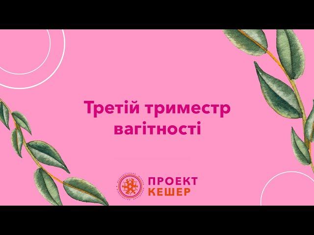 Третій триместр вагітності