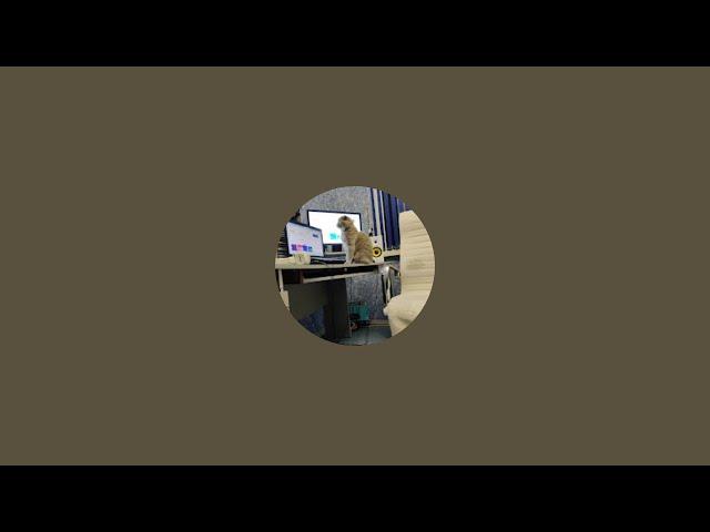 Skype всё