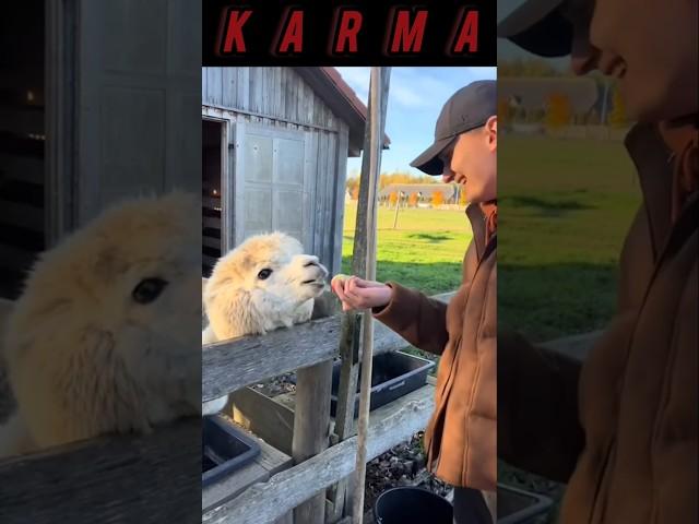 Karma #karma #viralshort #video #film #wooww #like #sub #shere #viralvideo