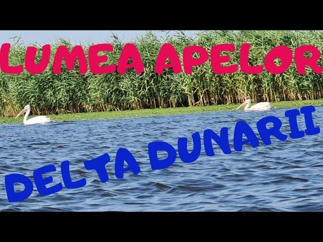 DELTA DUNARII - Excursie in Lumea Apelor