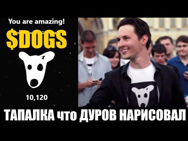 DOGS новая тапалка от ДУРОВА - 2й день УСПЕЙ! ХАМСТЕР КОМБАТ ТАПСВАП НОТКОИН