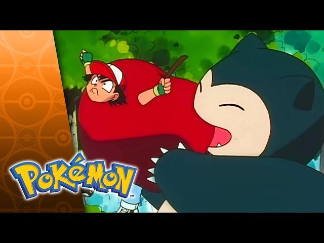 Pokémon Food Fight | FULL EPISODE 51 | Season 2