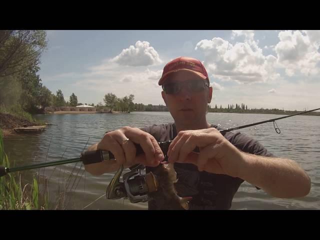 Силикон Fishing ROI Twin Tail Grub 50мм