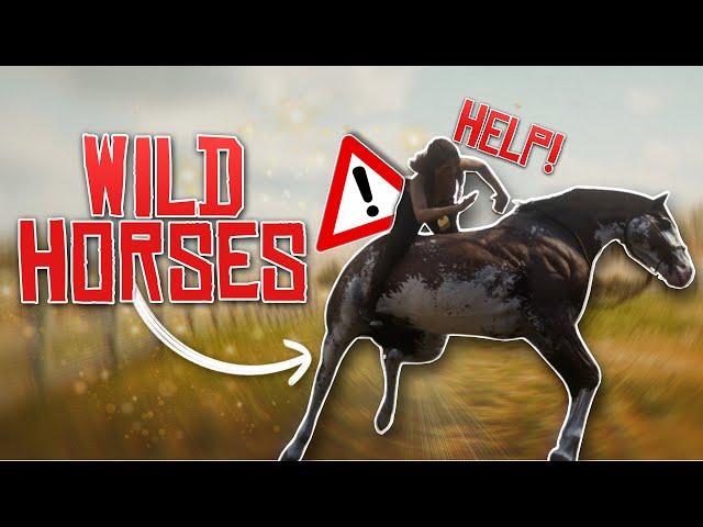 RDR2 Roleplay...but we break in wild horses