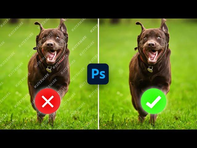 How to Remove Watermark in Photoshop