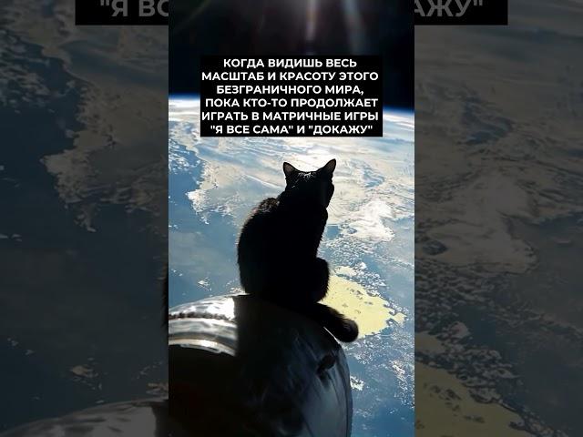 Тайные знания, о которых не принято говорить. Присоединяйтесь по ссылке шапке профиля ️
