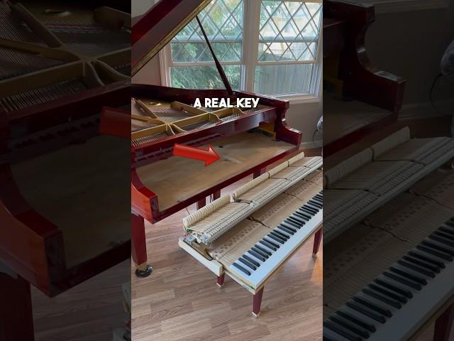 This Piano Has an Extra Key