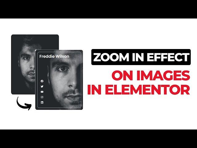 Add Zoom in Effect on Profile Images in Elementor 2022 | WordPress Tutorial 2022