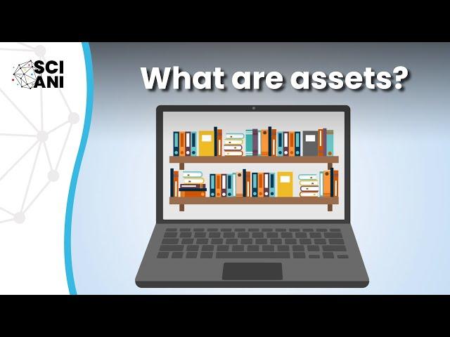 What are assets, and why do they matter?