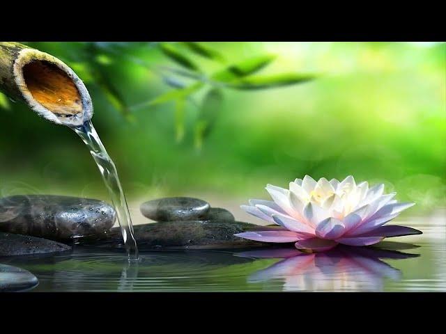 Relaxing Music For Sleeping ~No Ads Deep sleep music, Calming for sleep Stress relief, Meditation...