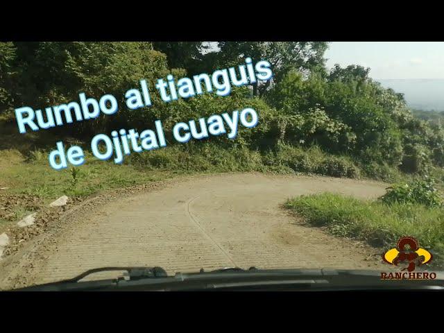 RUMBO AL TIANGUIS DE OJITAL CUAYO 2023.