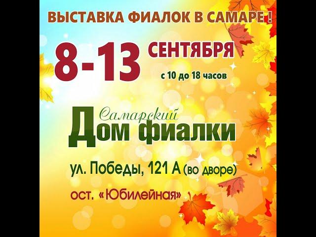 ВЫСТАВКА ФИАЛОК,8-13 сентября,Самарский дом фиалки,ул.Победы,121 А.