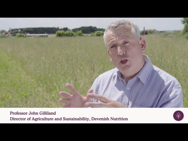 Where does the food strategy leave us? Professor John Gilliland, Devenish Nutrition